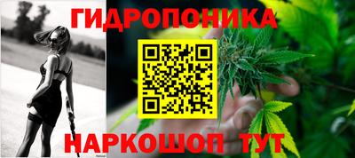 крисы Волгодонск