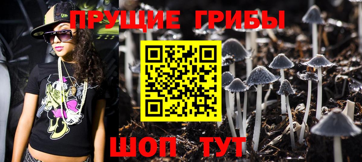 Псилоцибиновые грибы Cubensis Семёнов